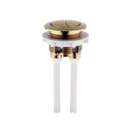 Brushed Brass Series 600 Cistern Push Button