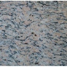 Tiger Skin Granite 30.5x30.5cm 