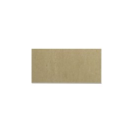 Barberini polished 20x40