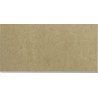 Barberini polished 20x40