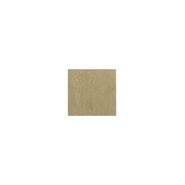 Barberini polished 20x20