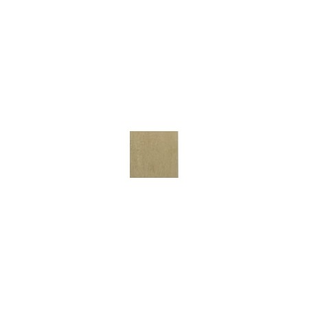 Barberini polished 20x20