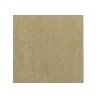 Barberini polished 20x20