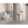 Arona Matt 75x600